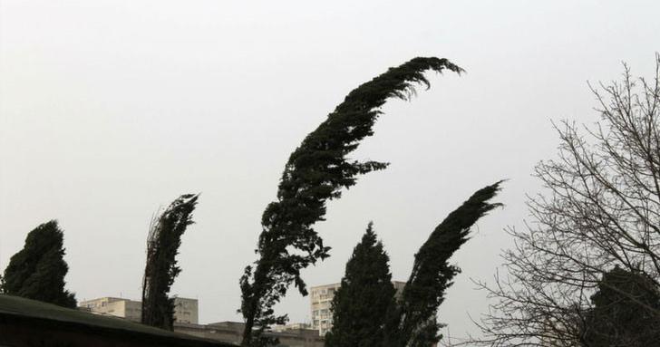 Вятърът фурия отнесе огради в София